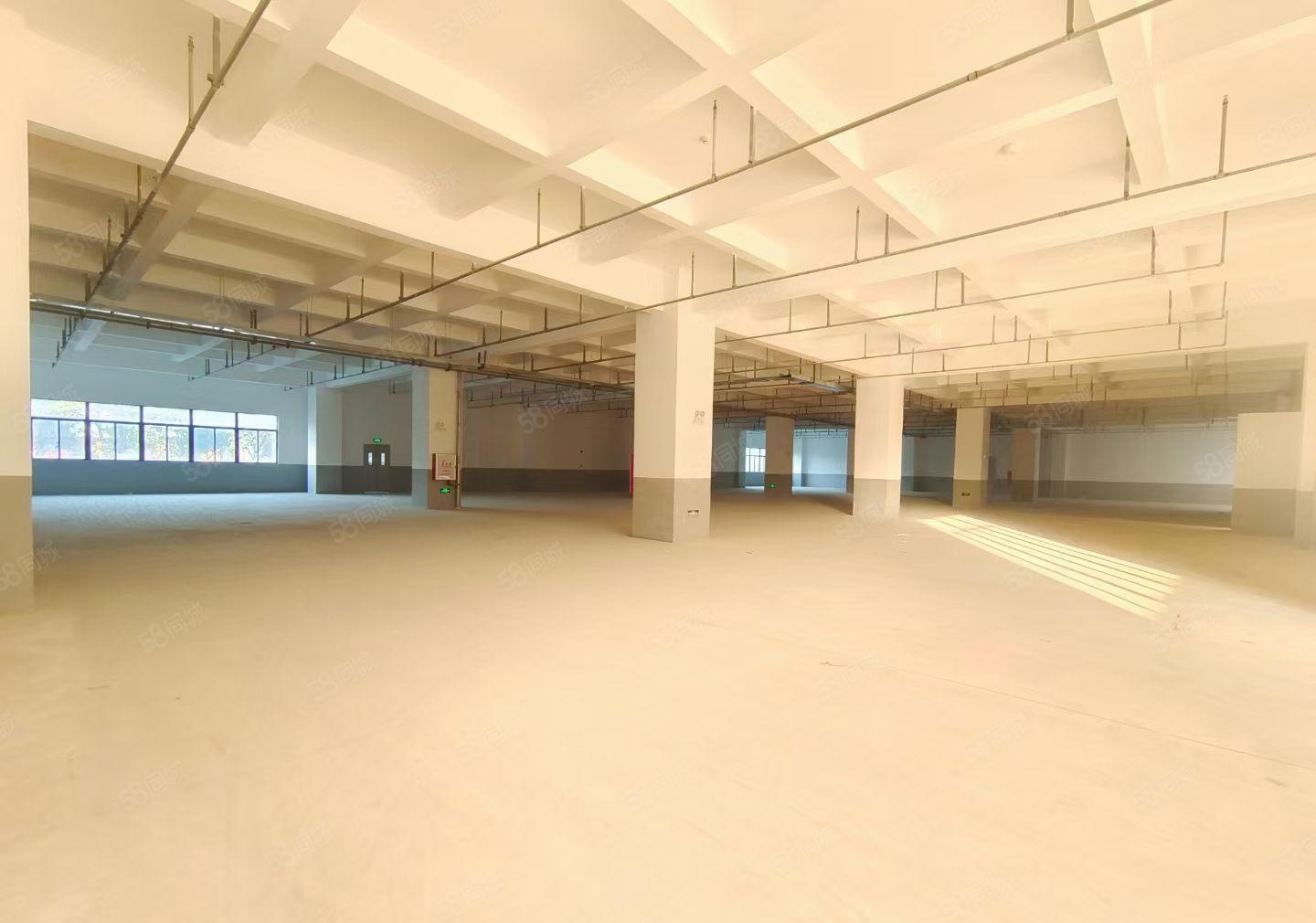 水口产业园新空出一楼1100平方2700平方标准厂房出租