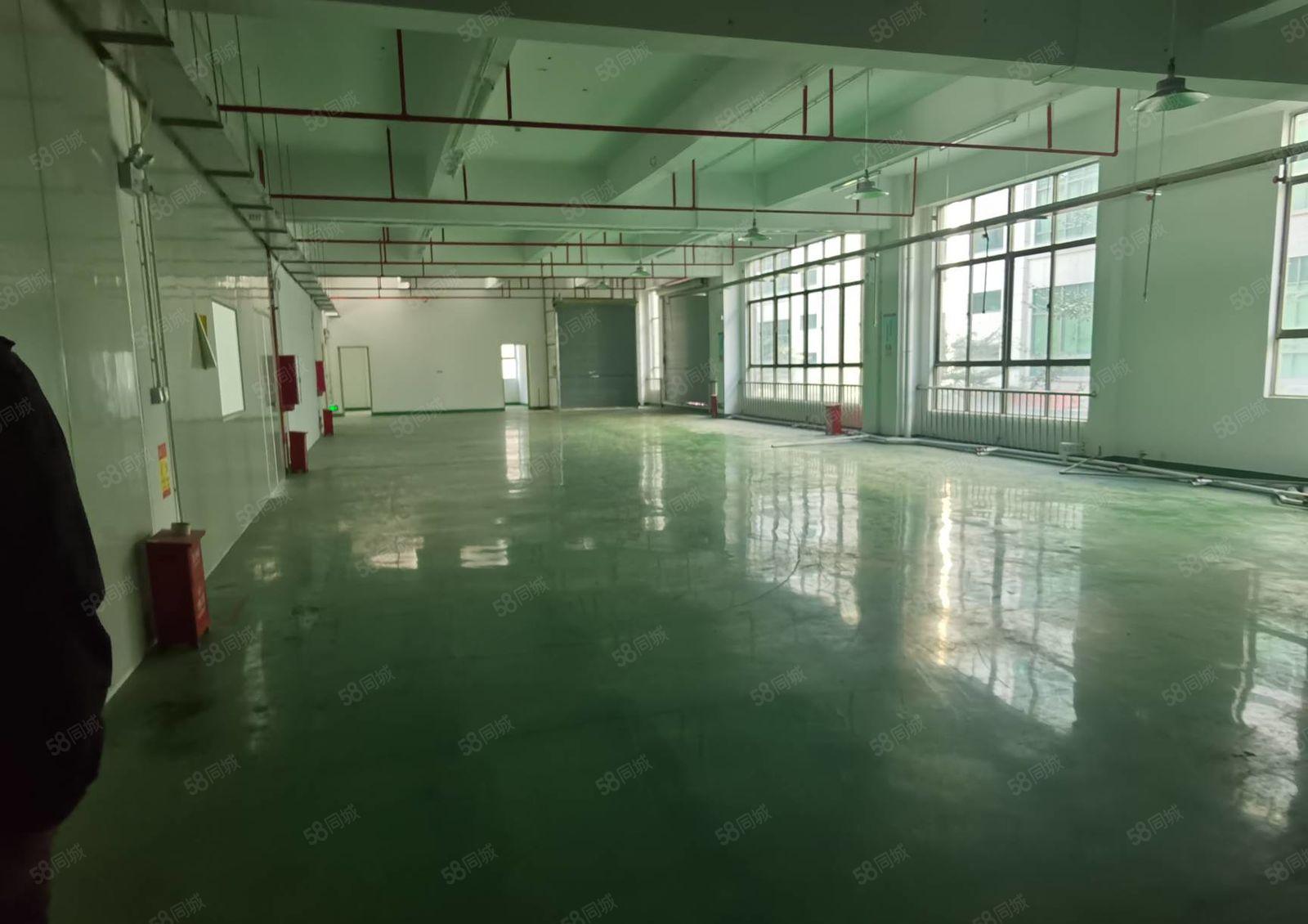 马安新乐1450平厂房，好招工，证件齐全，租金实惠