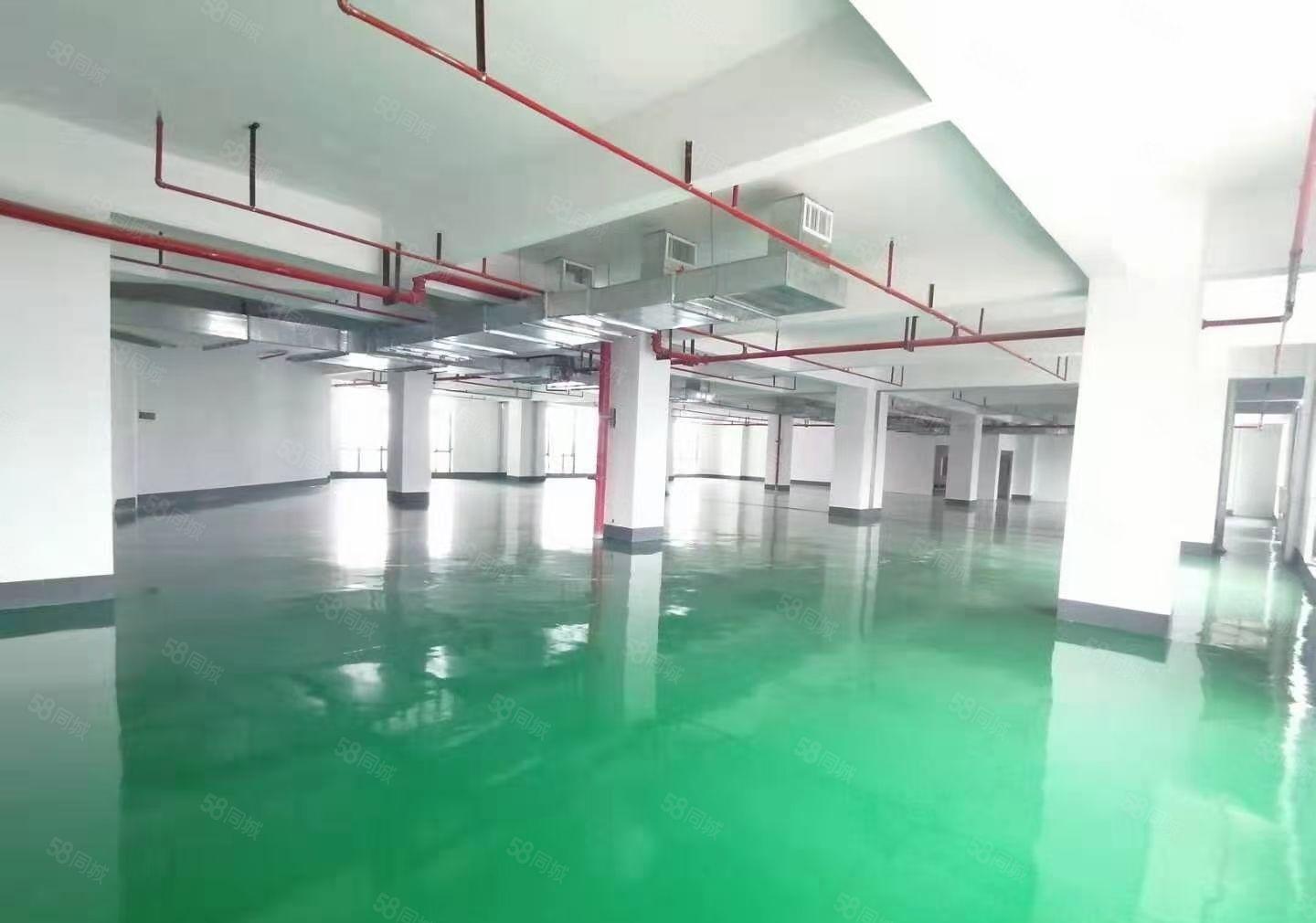 马安江誉城附近新空出780平方现成地坪漆装修红本厂房出租