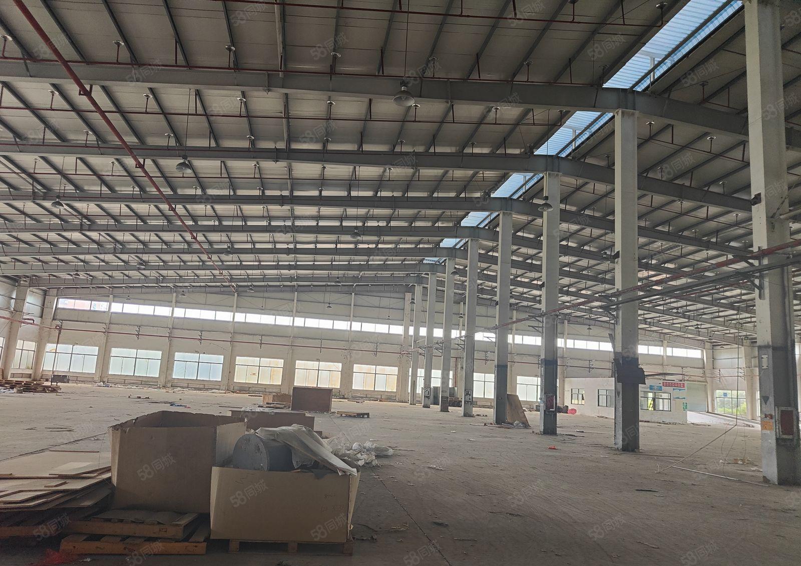 马安新建单层钢构9米滴水12000平米出租 超大空地有证