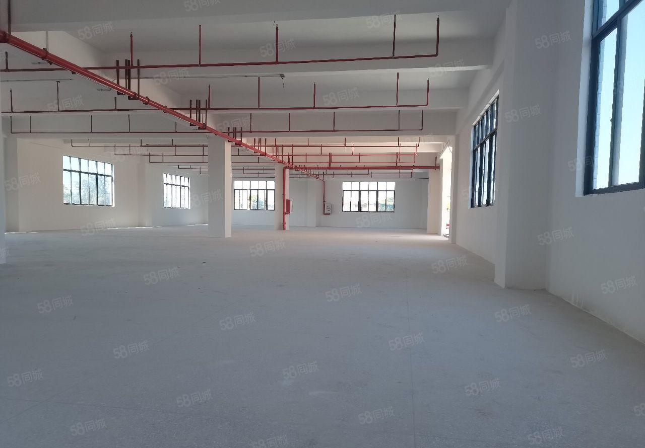 惠城水口龙湖大道旁全新独门独院3800平厂房出租 可分层出租