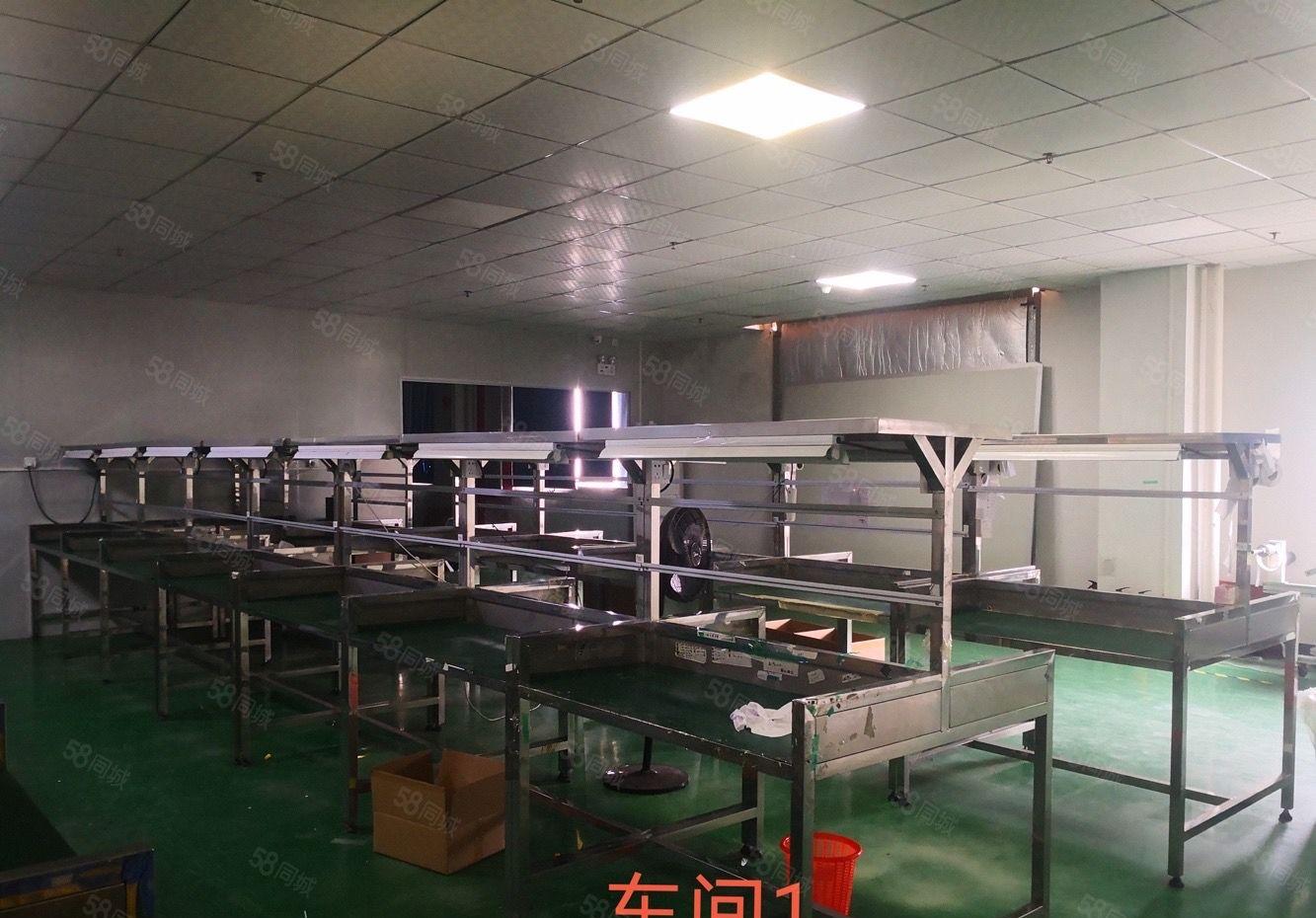 马安工业园楼上1350平方带装修厂房招租 价格实惠 拎包即用