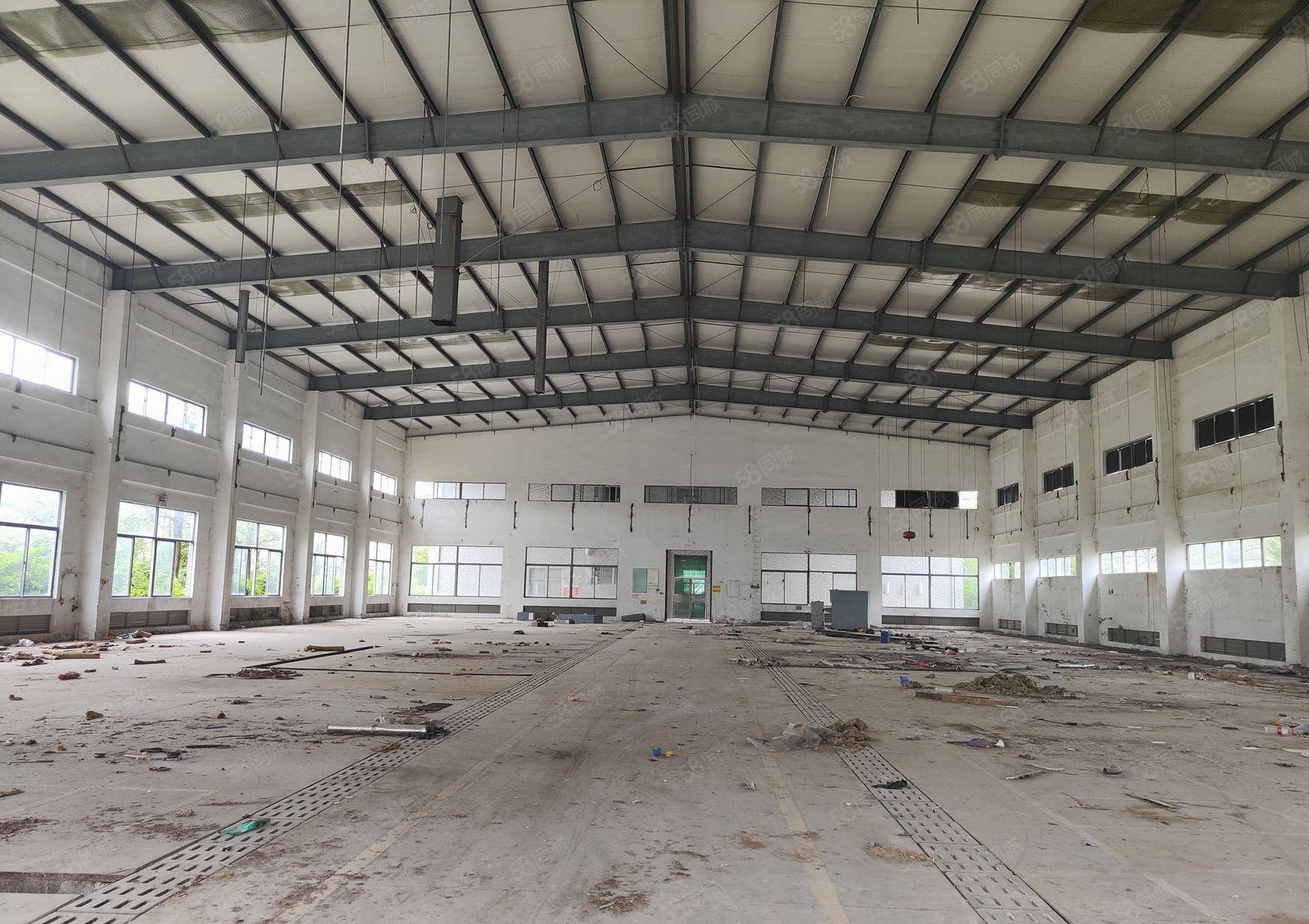 马安新建单层钢构9米滴水12000平米出租 超大空地有证