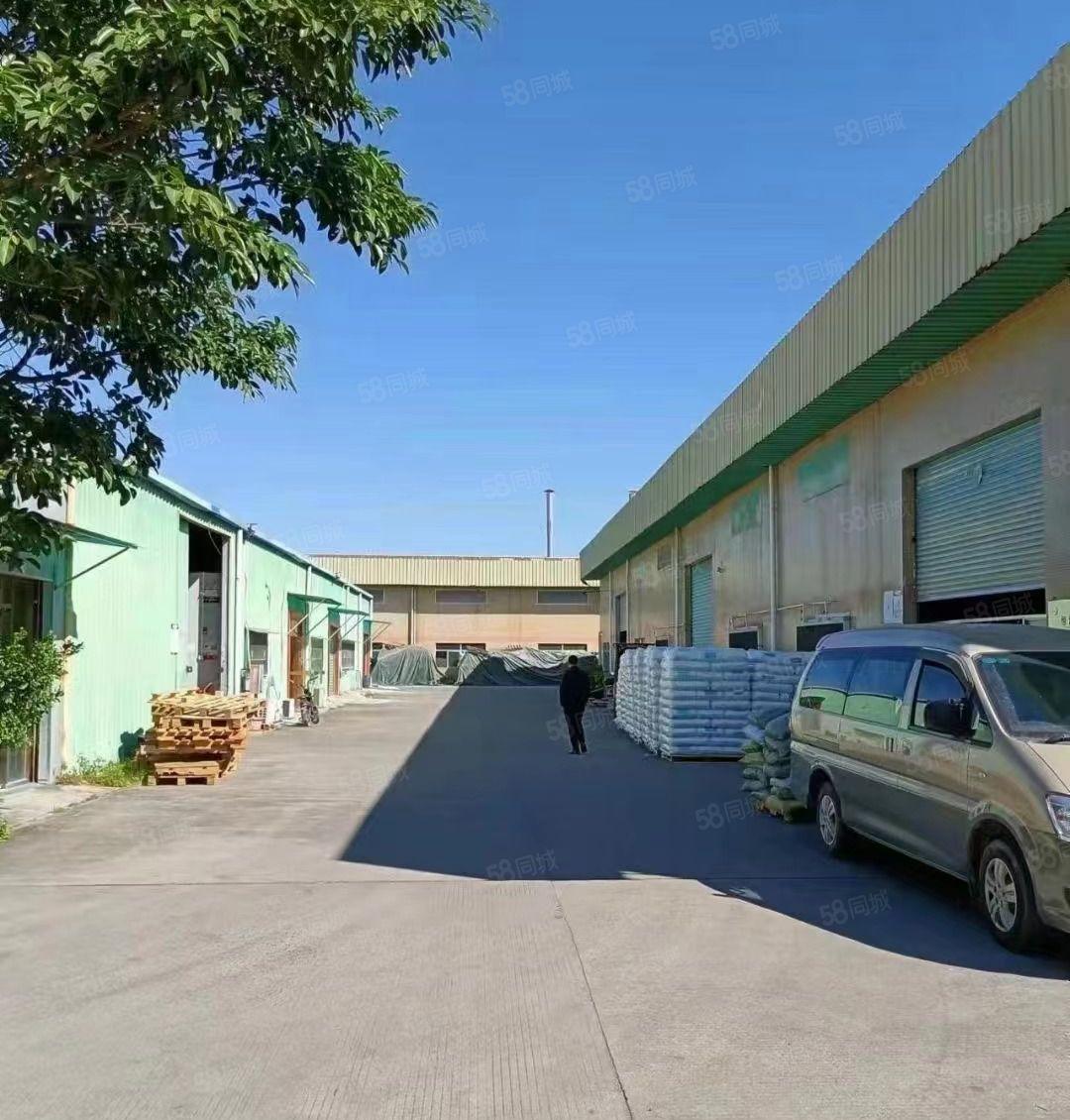 三栋镇独栋3800平红本钢构厂房滴水9米 可分租