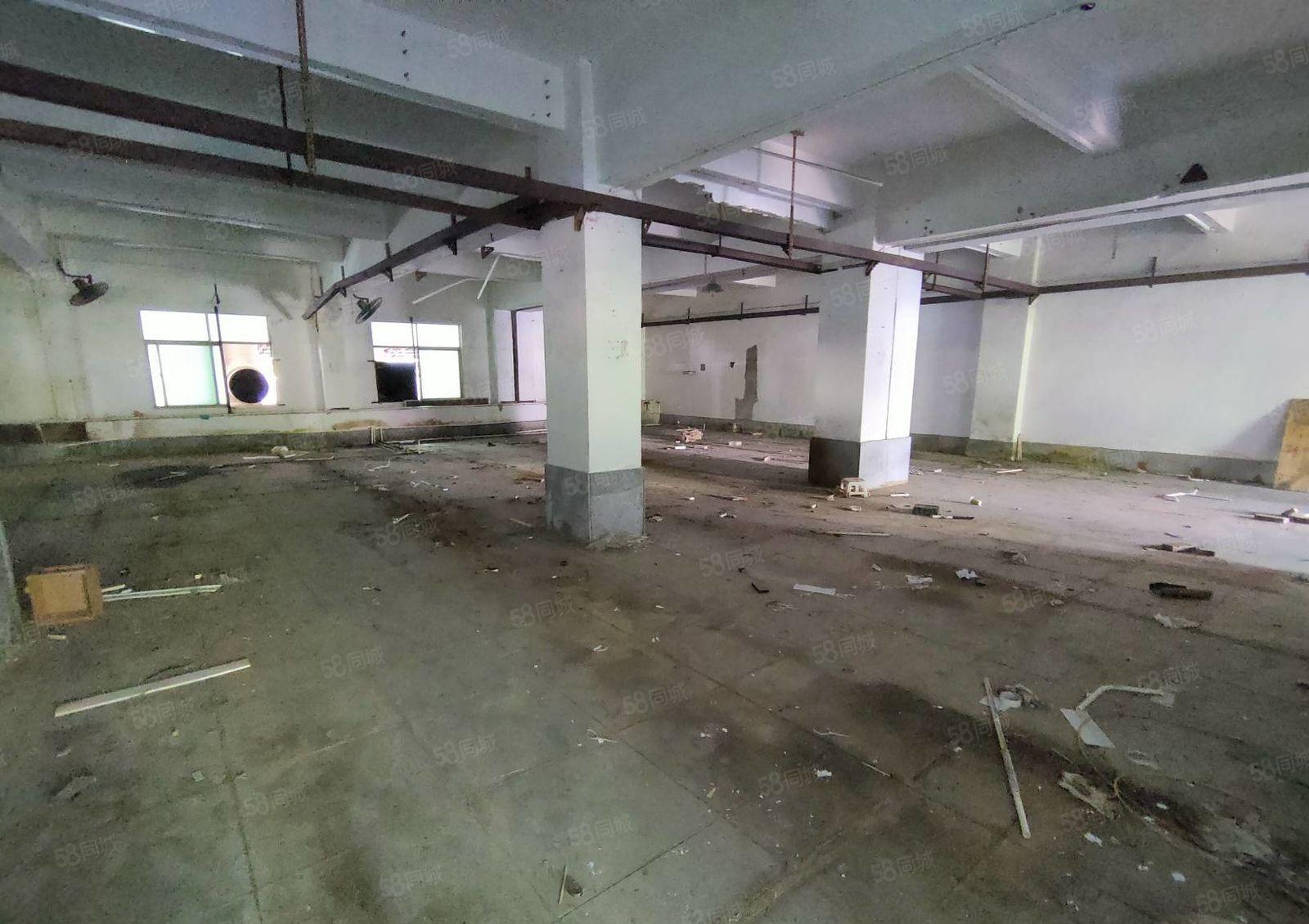 大湖溪原房东实际面积一楼600平方标准厂房出租