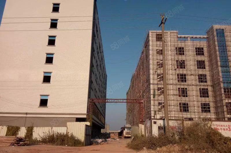 惠州水口原房东有总面积86000平方厂房招租，共3栋