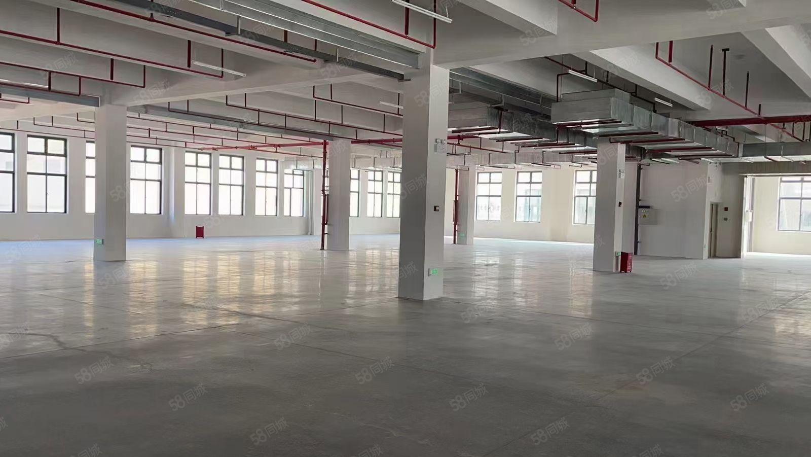 马安原房东独院钢构厂房8000平方出租