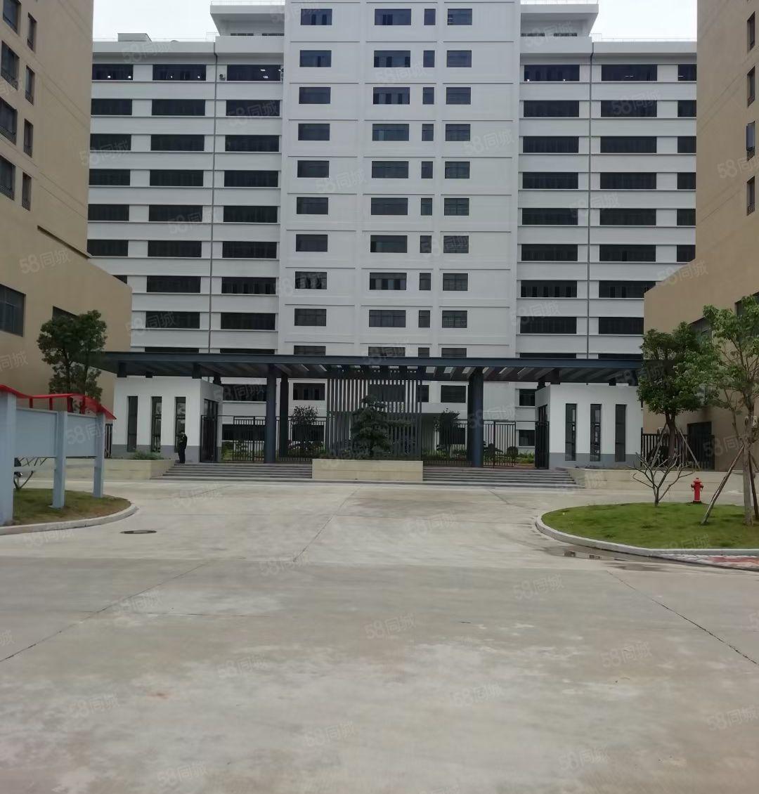 水口东江全新厂房1500平方 10元出租，水电齐全