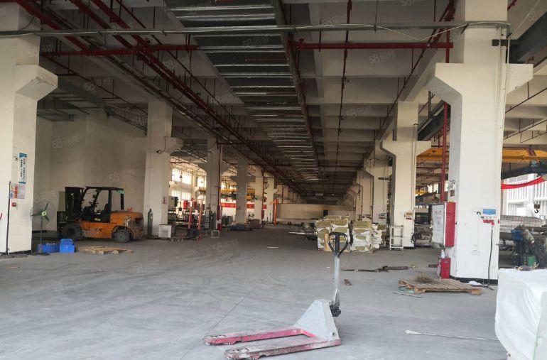 惠城区东江高新区全新厂房66000平方出租