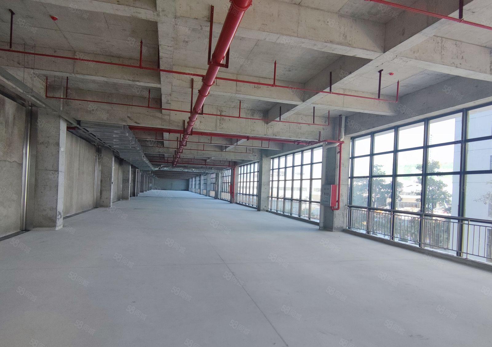 水口仲恺高新区原房东标准厂房4层1w平证件齐全可分租实际面积