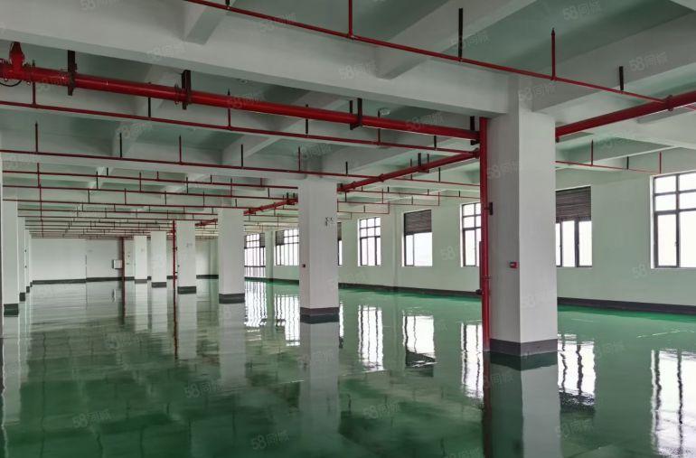 10元马安新乐原房东全新厂房1300平，全新地坪漆，两部电梯