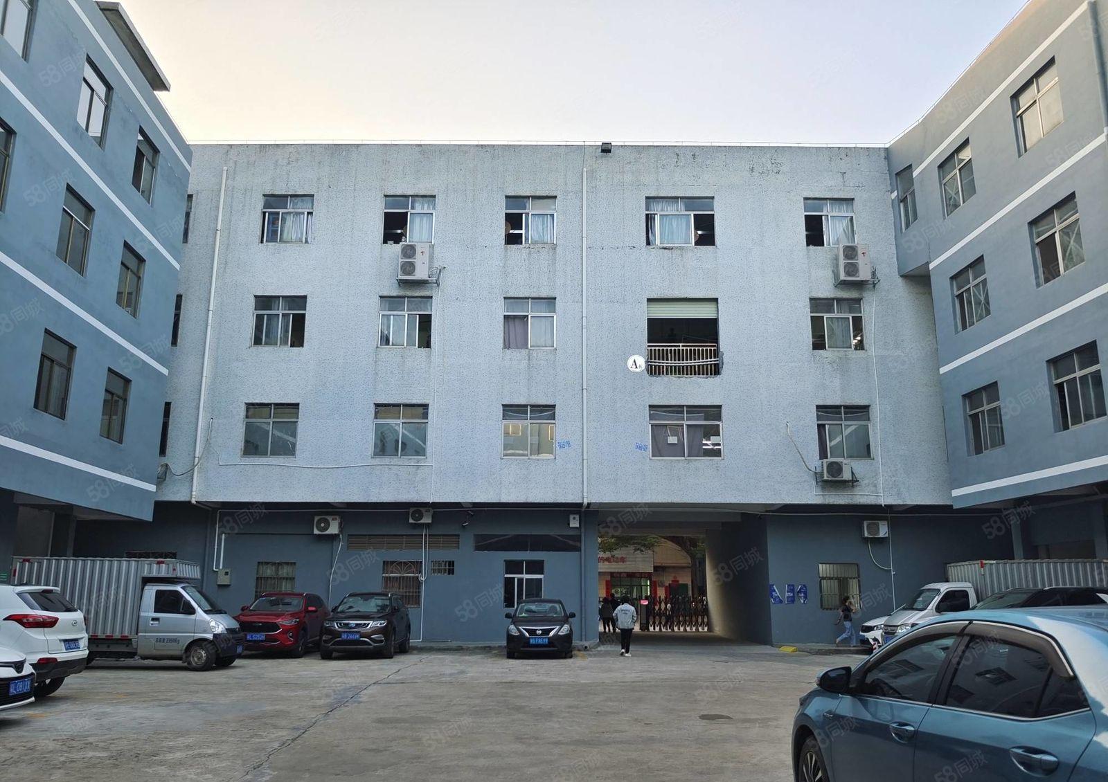 9.9元招租，马安镇政府附近全新厂房1200平方厂房招租