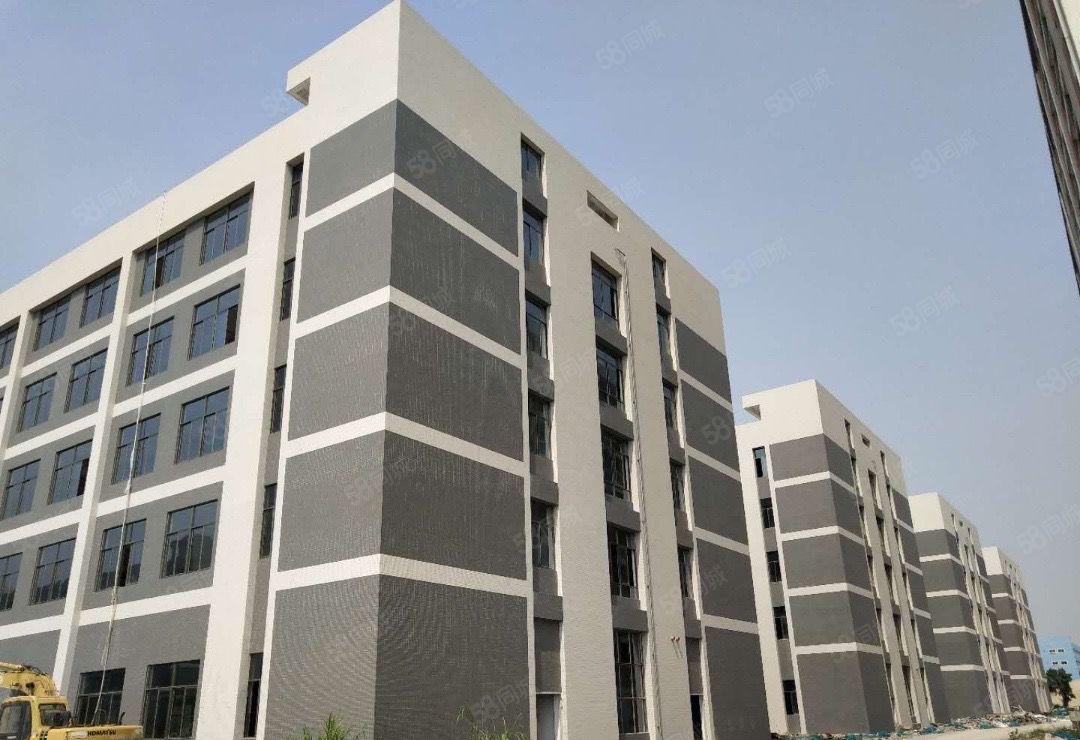 惠州原房东新建标准厂房仓库18万平方出租可分租