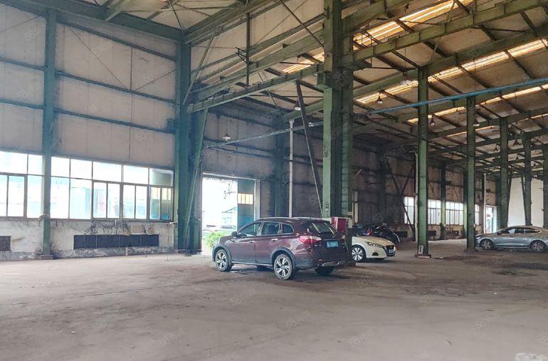 马安新乐1600平方9米高钢构厂房出租，可分租