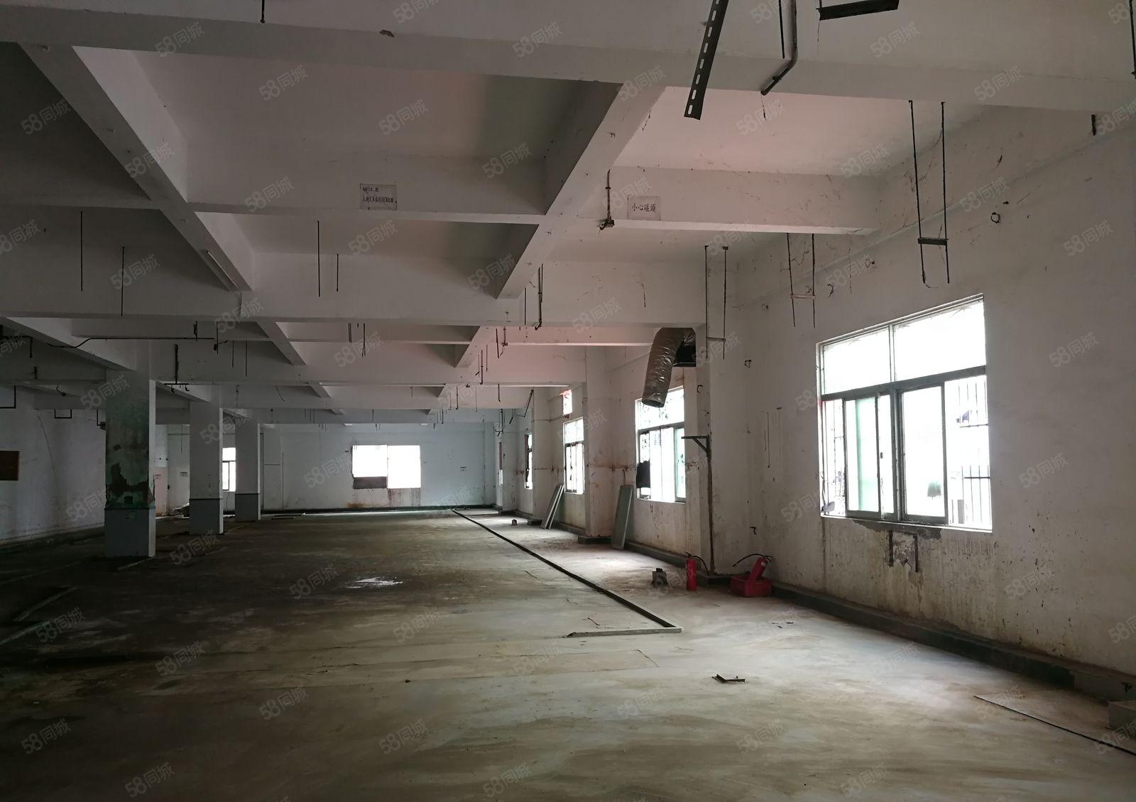 惠城区水口镇原房东自带化工证排污证线路板厂房业主直租