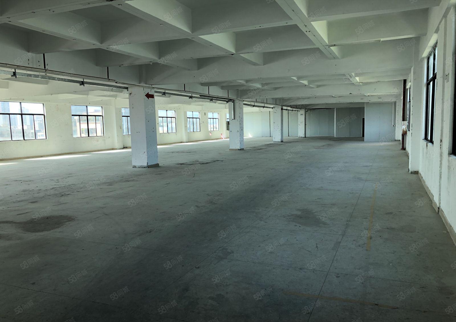 水口标准厂房一楼1700平方米6米高