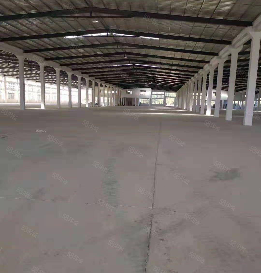 惠城区四角楼附近全新15米高标准钢构10500平方出租