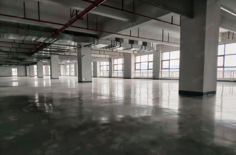 新出标准厂房送全新装修办公室车间0.3全包大小可分厂房出租