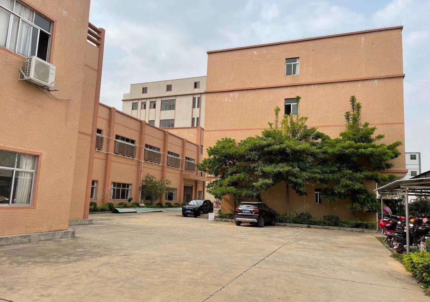 惠城区原房东全新独院厂房10500平方招租（花园式厂房）