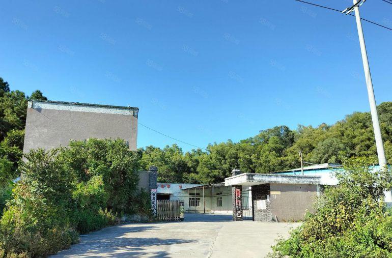 惠城区马安新乐独院钢构厂房招租（500一4500平方）