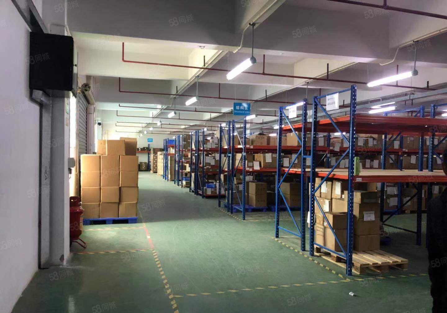 独院厂房三层3800平方.宿舍500平方