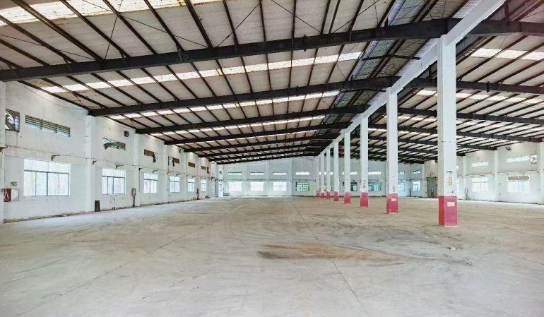 马安镇新出独院钢构厂房