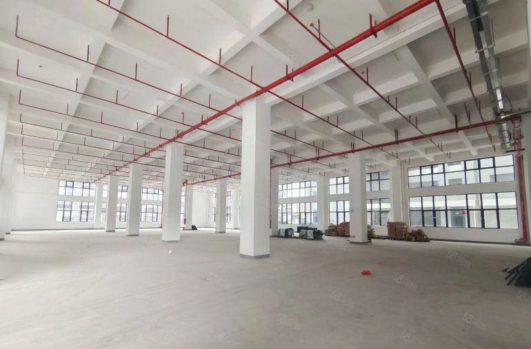 惠州惠城区马安 全新标准化厂房 可分割出租，500平米起租！