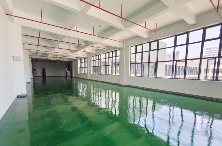 10元马安新乐原房东全新厂房1300平，全新地坪漆，两部电梯