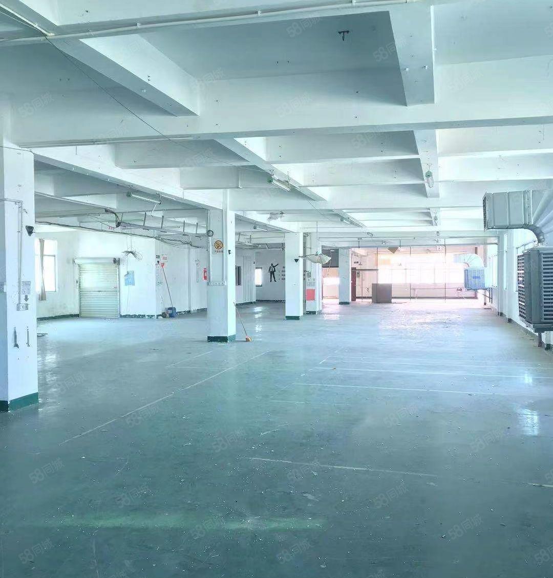 水口龙湖1楼1500平米，二楼1500平米红本标准厂房出租