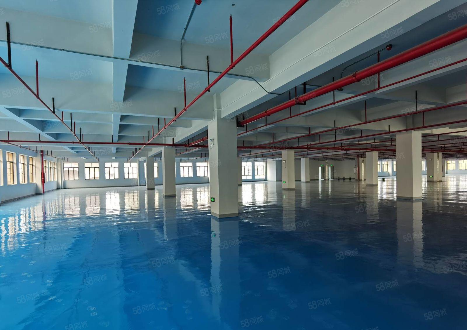 马安平潭怡发工业区全新厂房四楼1500平米 9.5元出租