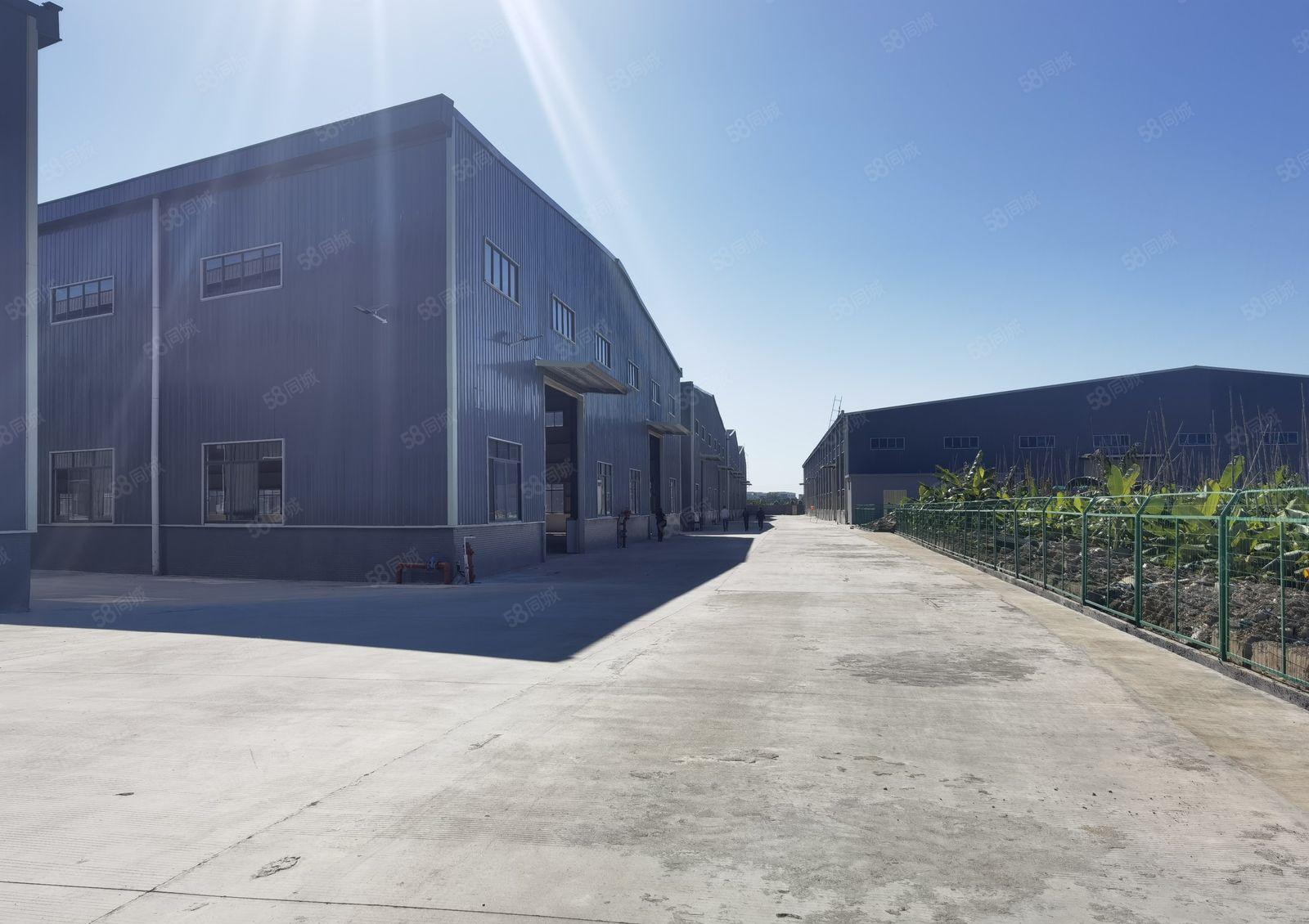 惠城区小金口全新单一层钢构3万平方厂房出租大小可分租带牛角