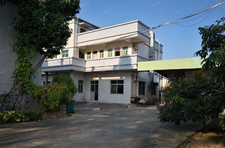 惠城区马安附近一楼1200平方标准厂房低价出租