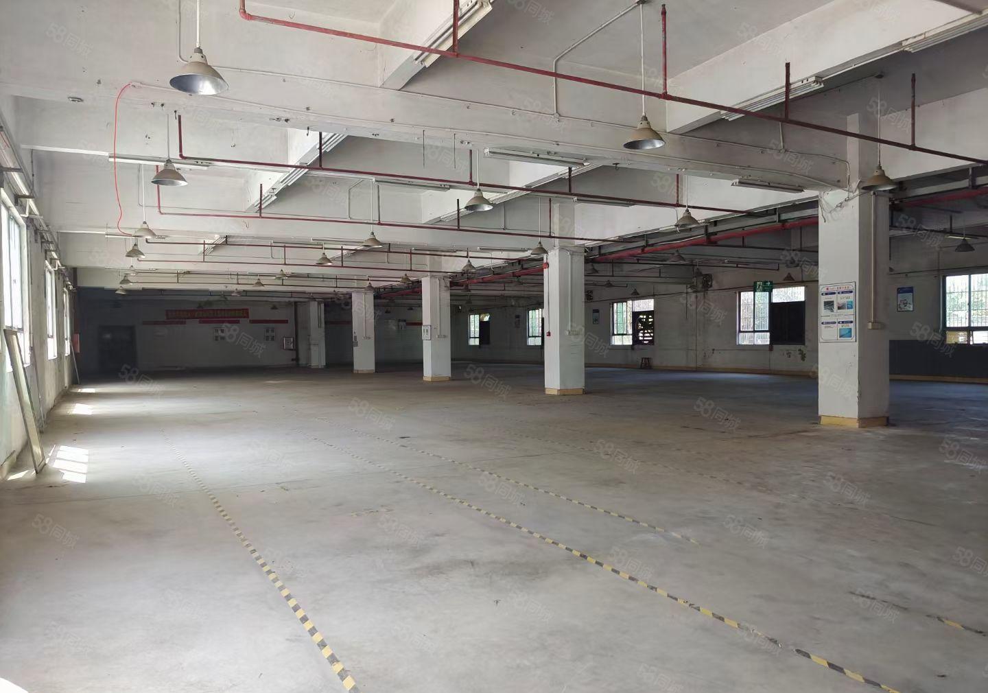 马安新乐工业区一楼标准厂房1750平方带装修出租，空地超大