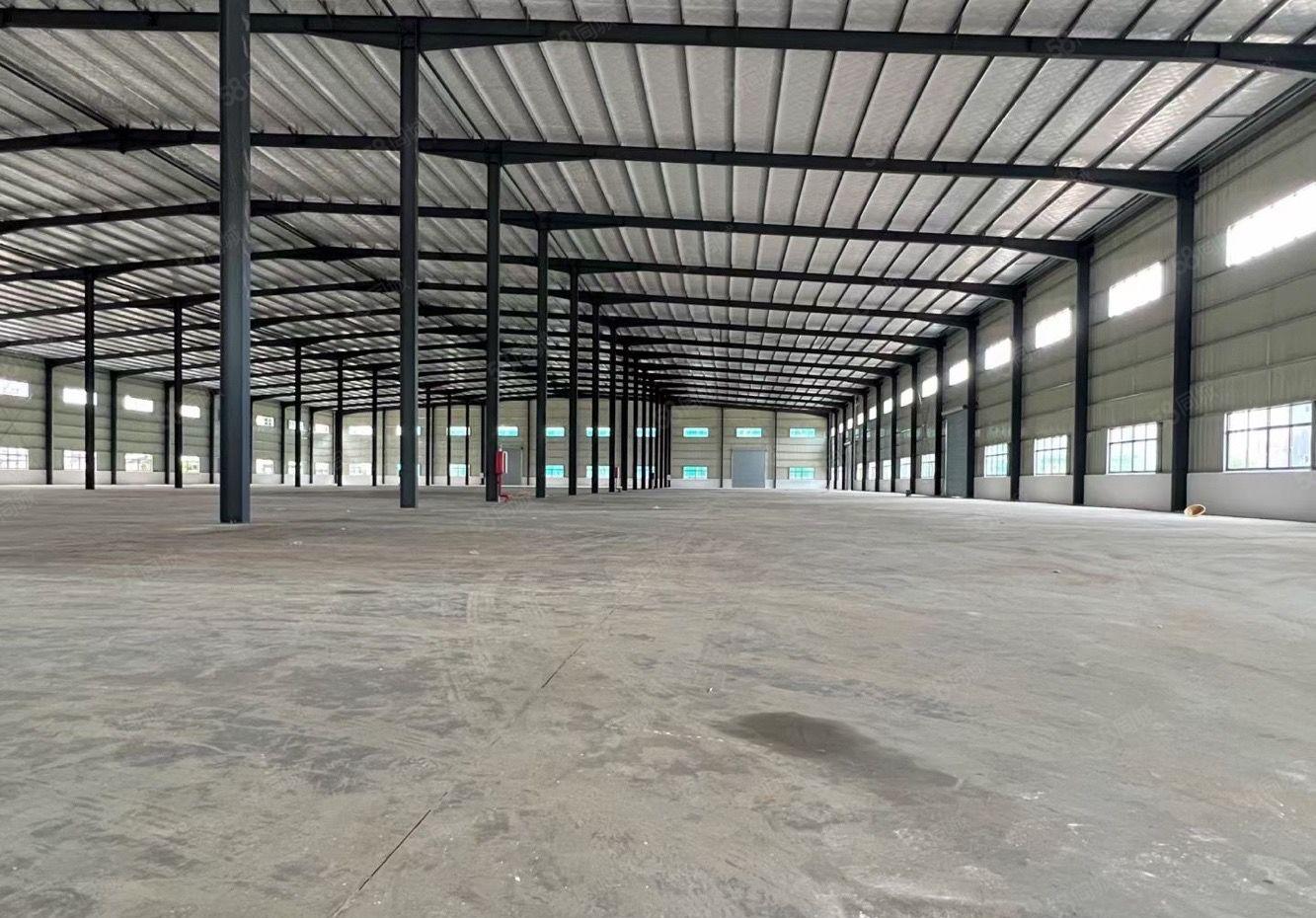惠城区马安新建10米高标准钢构厂房出租