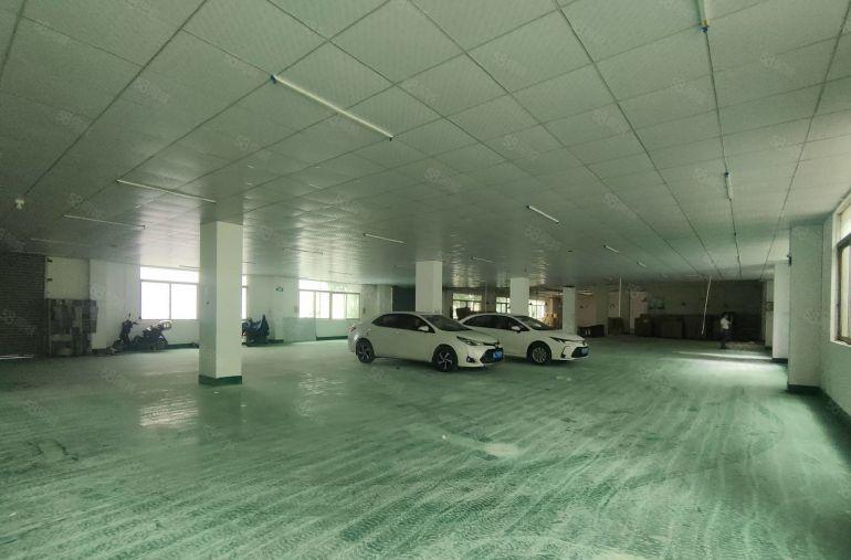 急租马安新乐一楼1200平，可分租500平，层高5米，电按需