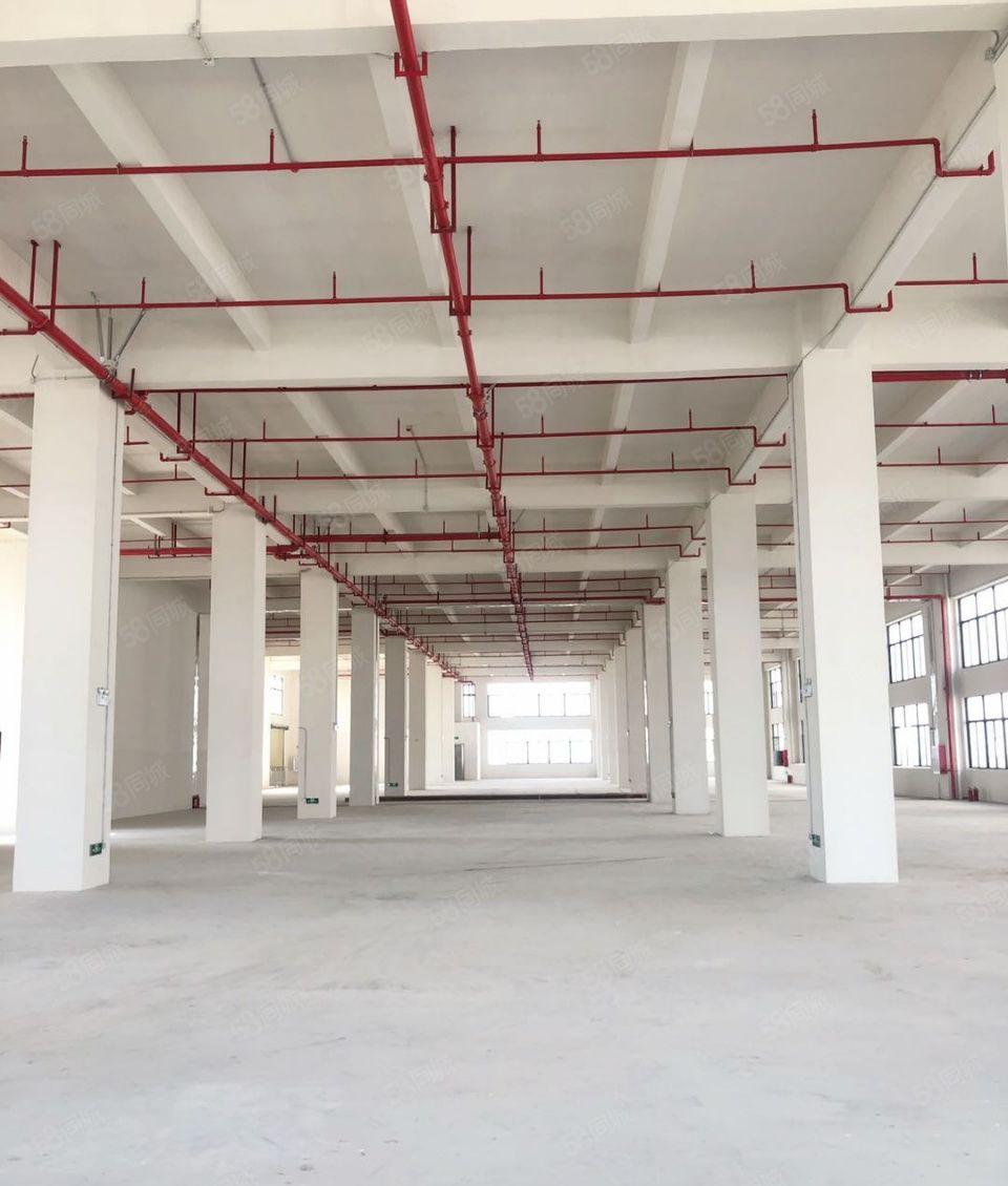 钜惠！惠城河南岸新出500~20000平标准厂房出租，临高速