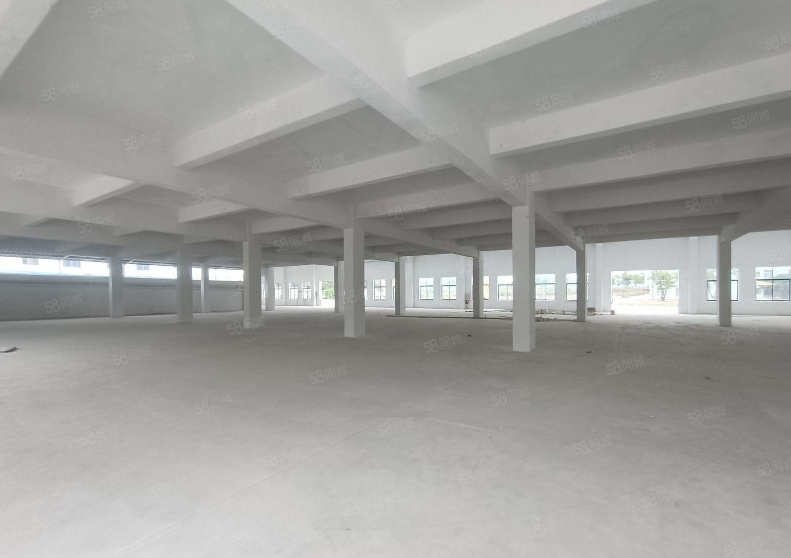 惠城区江南大道旁工业园一楼楼房9米高厂房3500平方出租