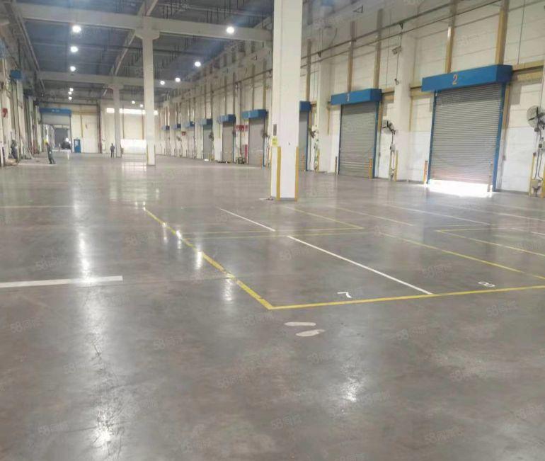 惠州占地面积三十万建筑面积18万独门独院单一层厂房招租可定建