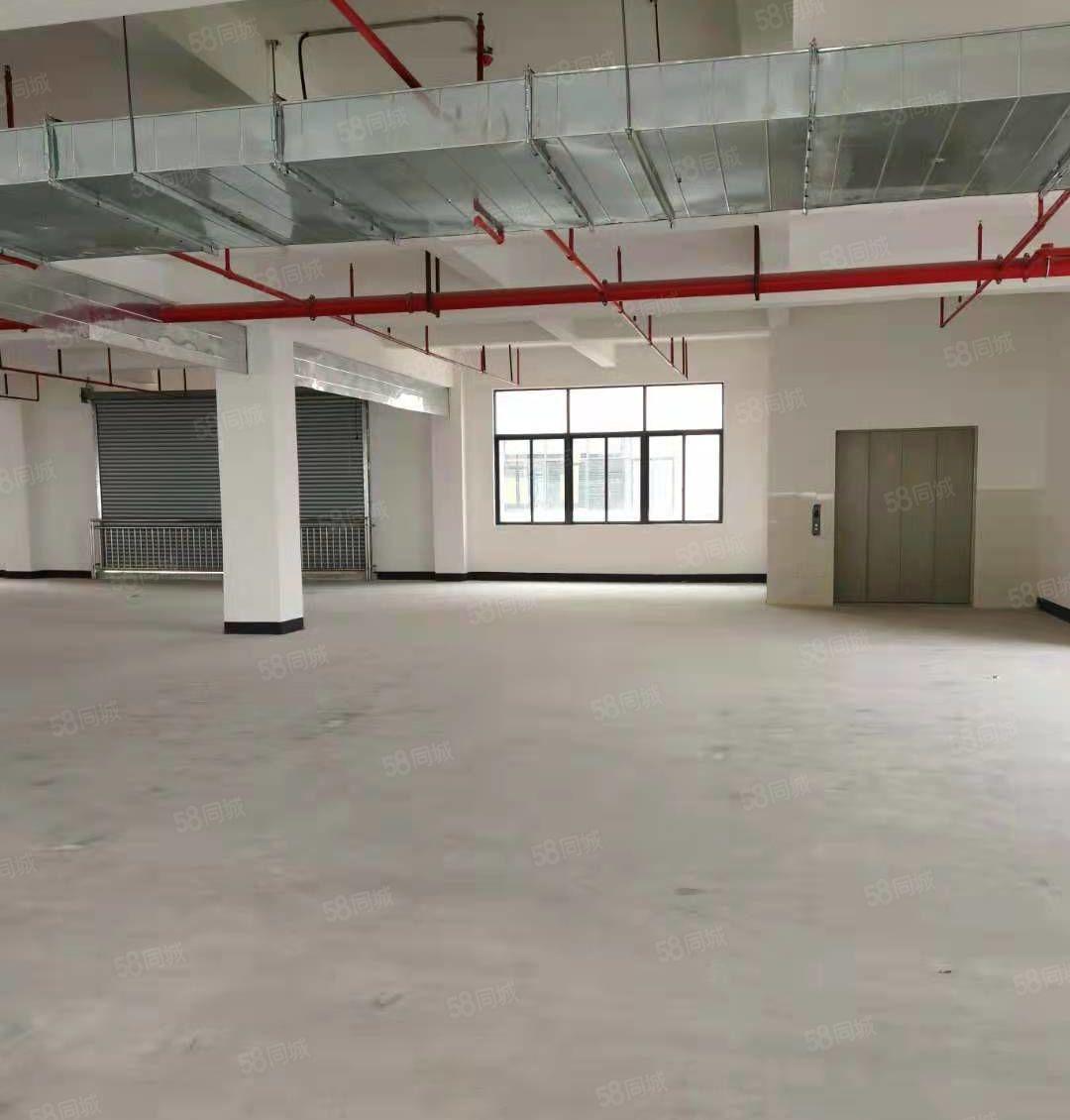 马安全新12楼5200平米独院厂房出租，一楼高度6米可分租