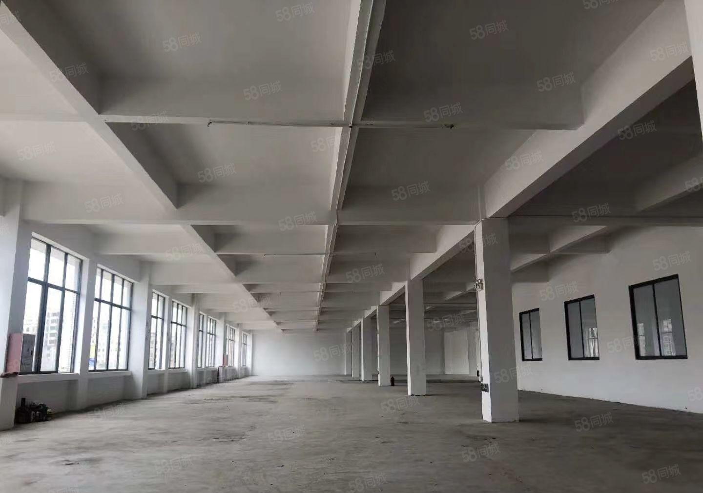 马安工业区全新标准厂房出租 750平方 交通方便