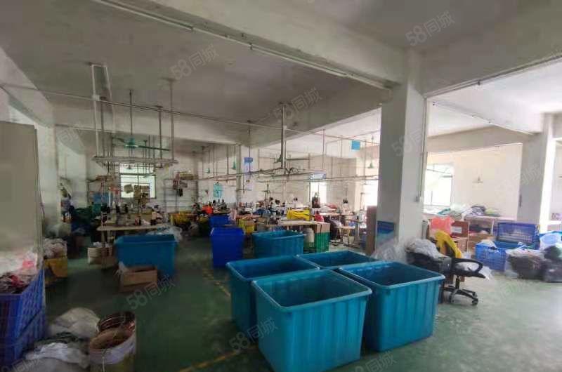 水口大湖溪原房东一楼600平方标准厂房出租 租金18