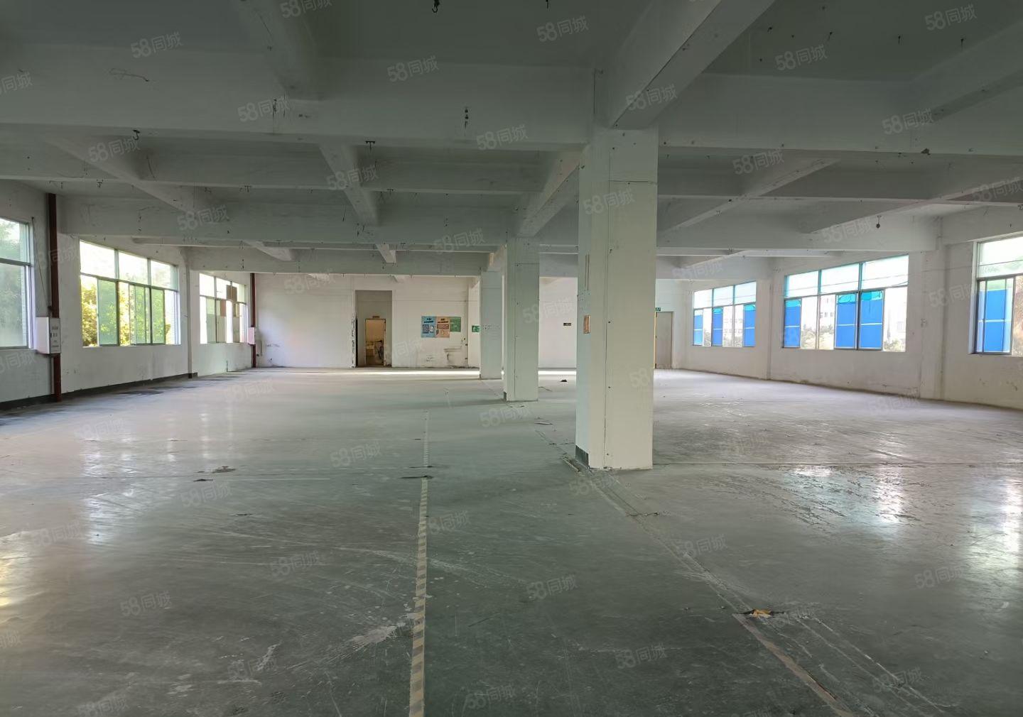 合水口花园式红本厂房6920平方招租