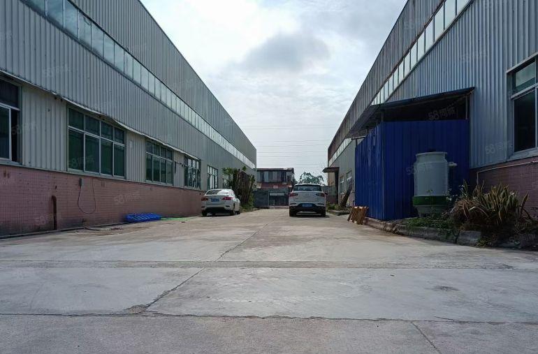 水口龙湖 红本钢构1200,720平方滴水8米 租金15