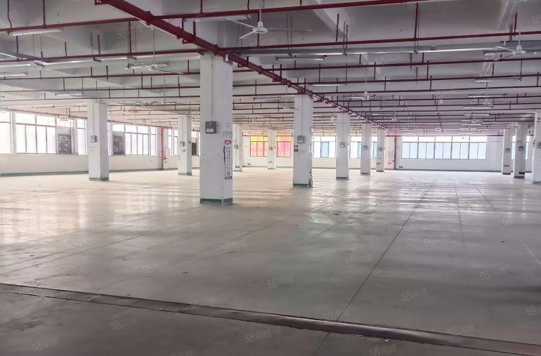 类型标准8元厂房厂房楼层面积A栋4800层