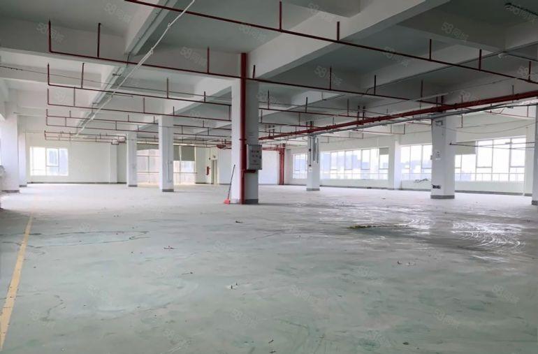 8元！惠城高新区红本厂房仓库出租3600平园区形象好不限行业