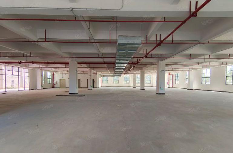 9.9元水口大道500至2500平方全新红本厂房招租可分租