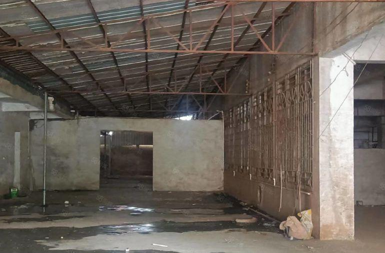 靓三栋独院钢构4000平米