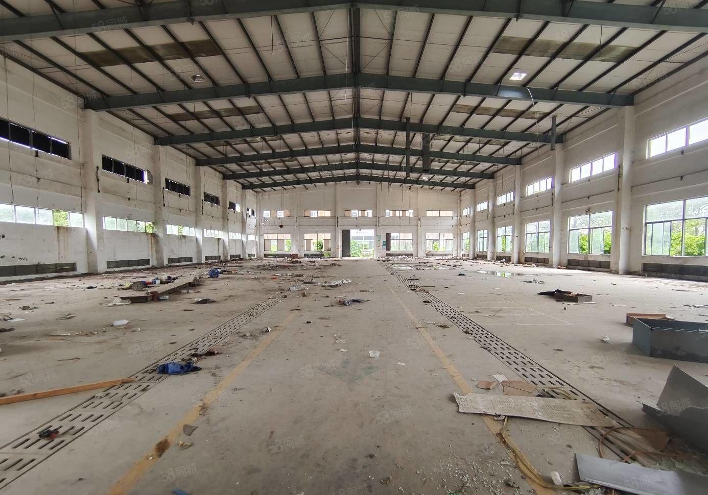 马安镇新湖工业区10米钢构1000平方厂房17元每平出租