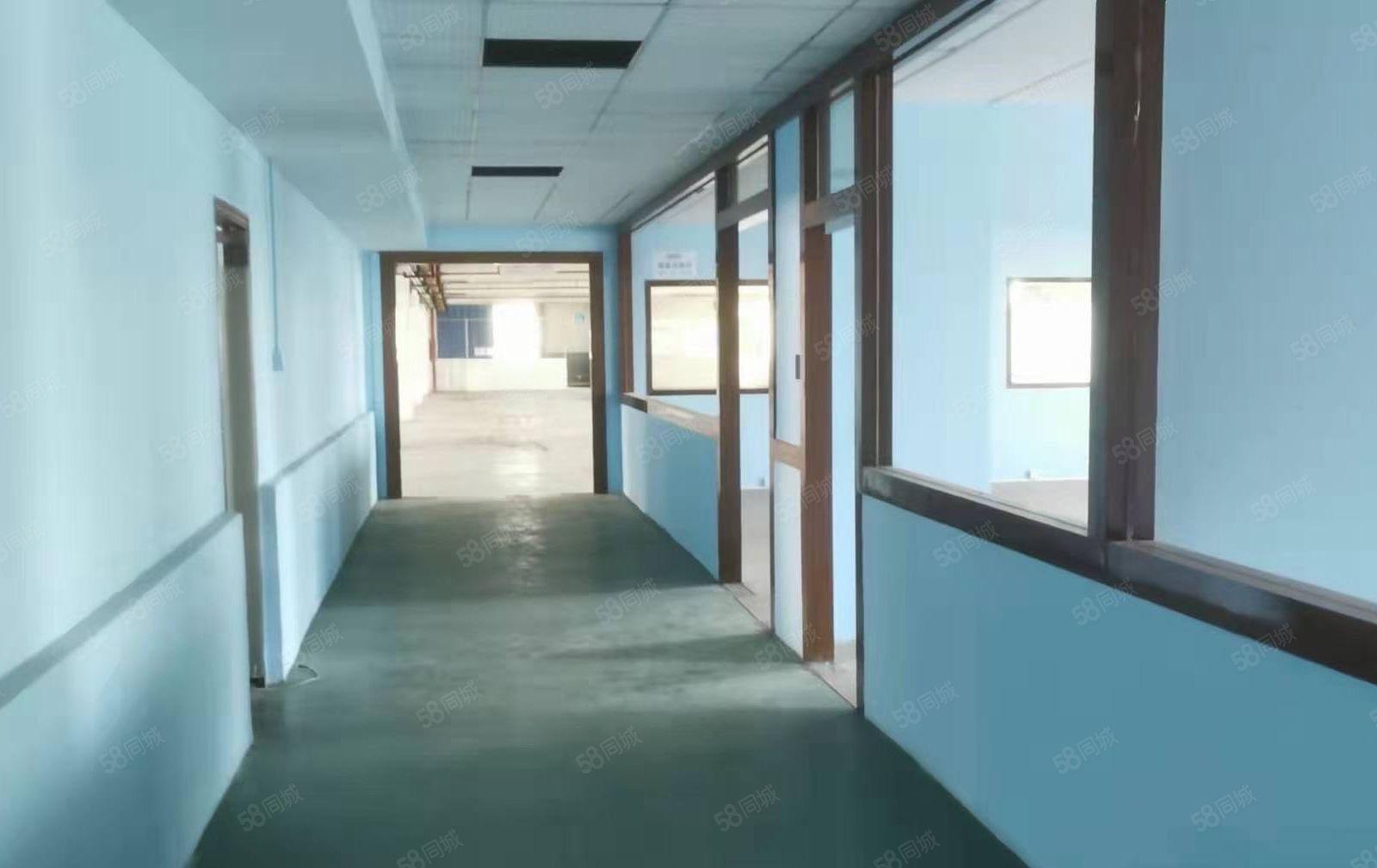 好招工马安新乐厂房正式启用，位置空地超大10元起租