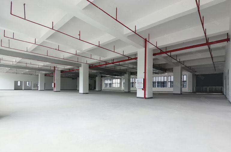 标准厂房，有宿舍配套高速路口附近，可围独院超大空地，水电全通